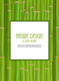 Fototapeta Sypialnia - Colorful Stems and Bamboo Leaves Background. Vector Illustration