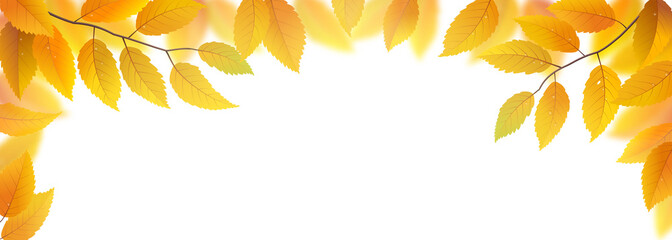 Wall Mural - autumn branches with leaves frame isolated on white