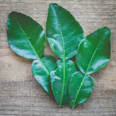 Wall Mural - Fresh kaffir lime leaf on wood table background