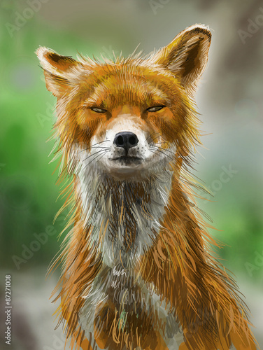 Valokuvatapetti Лиса