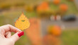 autumn fun leaf smiley face on the background of the city in refocuse
