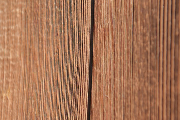 Wood Texture