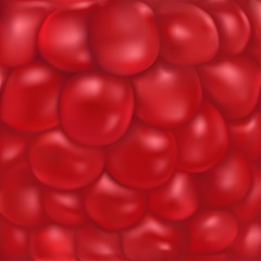 Raspberry vector texture