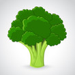 Artistic vector broccoli