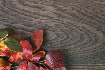 Wall Mural - vintage toned photo of autumn leaves over wood table
