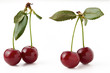 a pair of cherries with a leaf isolated