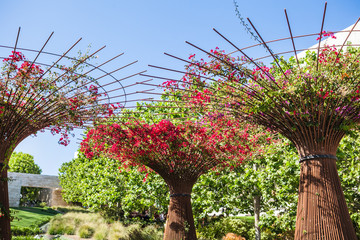 Part of decorative trees with flowers in the park