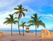 © FotoMak - Landscape with palm trees on a beautiful sunny summer afternoon in Hollywood Beach near Miami Florida with ocean and blue sky in the background