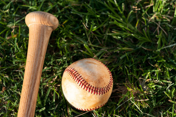 Wall Mural - Baseball and Bat