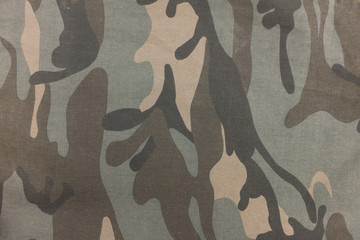 Camouflage pattern and background.