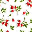 Vector seamless pattern with rosehip berries. Vector.