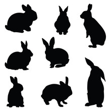 Rabbit Silhouette Illustration Set