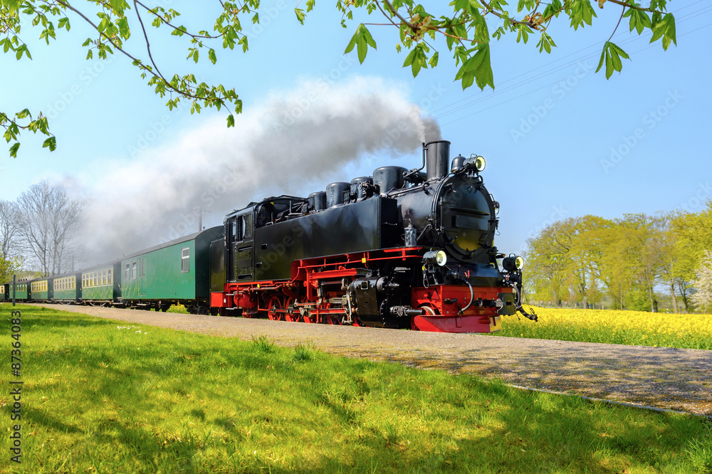 Historical German steam train passes through the fields in sprin - obrazy, fototapety, plakaty 
