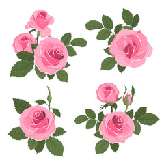 Canvas Print - Pink roses bouquet with leaves