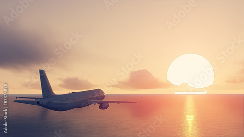 plane and sun set Canvas Print