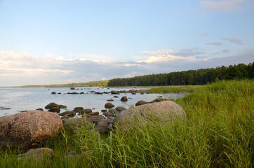 Sticker - Ostseeküste im Lahemaa Nationalpark / Estland