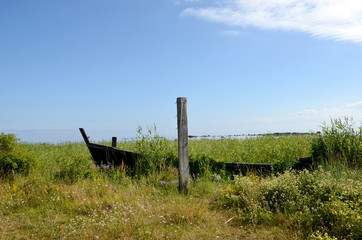 Canvas Print - Holzboot an der Ostseesküste im Lahemaa Nationalpark