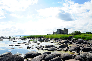 Wall Mural - Ruine Toolse im Lahemaa Nationalpark / Estland