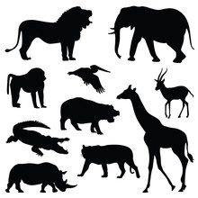 Safari Animal Silhouette Illustration Set