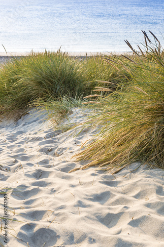 Obraz w ramie Dune with green grass. View for the beach.