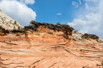 Wall Mural - East Zion