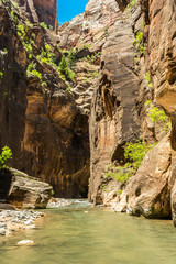 Wall Mural - The Narrows