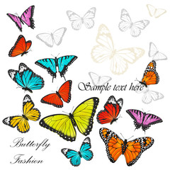 Wall Mural - Background with colorful butterflies vector illustration