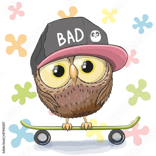 Plakat na zamówienie Owl with skateboard