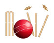 Cricket Sports - Illustration
