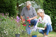 Mature Couple Planting Out Plants In Garden