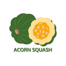 Acorn Squash Icon Isolated On White Background, Vector Illustrat