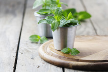 Green Fresh Mint On The Wooden Table