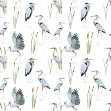Watercolor Heron Pattern