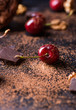 © Belaya Katerina - Ripe cherry, walnuts and chocolate chunks