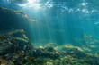 Sunbeams underwater viewed from seabed in a reef