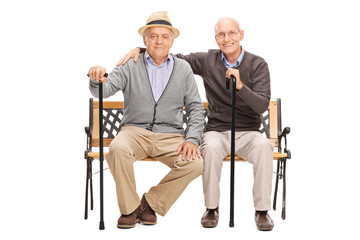 Sticker - Two mature friends posing together seated on a bench