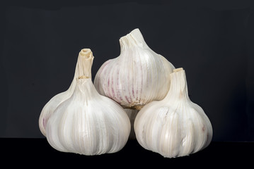 Garlic isolated