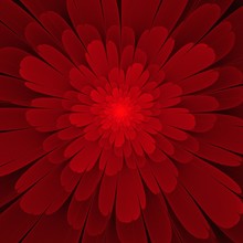 Red Fractal Flower With Light In The Centre