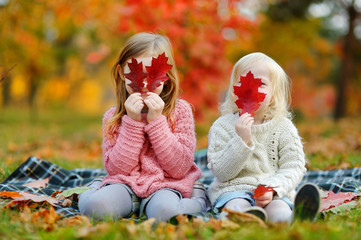 Wall Mural - Two sisters having fun together in autumn park