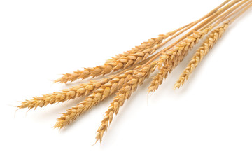 Ripe  wheat ears isolated on white