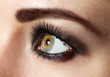 © Africa Studio - Female eye close up