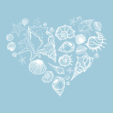 Heart Of Sea Shells. 