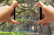Women Taking Picture Of Tree Filled Landscape On Smartphone In Charleston South Carolina On A Plantation