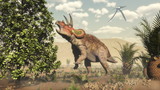 Fototapeta  - Triceratops eating at magnolia tree - 3D render