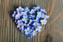 Forget-me-nots Flowers On Wooden Background