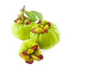 Wall Mural - fresh Garcinia