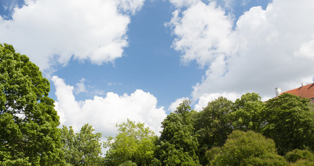 trees and house roof over blue sky with clouds