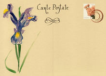 Vintage Post Card Design Template And Watercolour Drawing