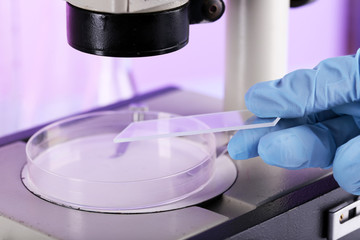 Wall Mural - scientist working with microscope in laboratory