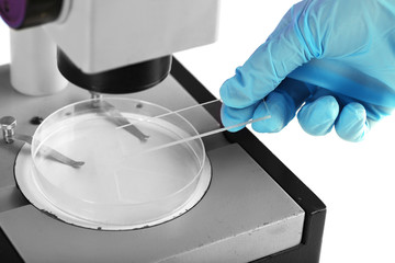 Wall Mural - scientist working with microscope in laboratory